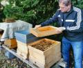 Bild: Portner
Fit für den Winter: Imker Michael Völkl deckt die Bienenkästen im Garten mit Blechhaube oder Plane ab und hängt einen Futtertrog mit Fertigsirup ein.