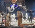 Bild: Gabi Schönberger
Circus Krone begeistert die Zuschauer.