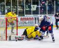 Bild: Werner Moller
In dieser Szene erzielt Kapitän Dennis Thielsch (rechts) das 1:0 für die Blue Devils Weiden gegen den Stuttgarter EC.