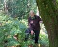 Bild: Johannes Bradtka/exb
Johannes Bradtka hat Teile der Flechte an 31 Laubbäumen im Steinwald und im Fichtelgebirge angebracht. Fachleute sprechen hier von einer Transplantation.