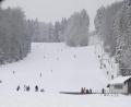 Bild: Petra Hartl
Das Skivergnügen am Buchberg ist Geschichte: Dieses Bild vom Skilift in Sitzambuch entstand kurz nach Weihnachten 2010.