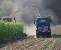 Symbolbild: gsp
Feldhäcksler und Traktoren mit großen Anhängern waren in den letzten Wochen im ganzen Landkreis unterwegs – denn der Silomais wurde geerntet.