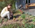 Bild: Thoma
Der Buchsbaumzünsler hat zugeschlagen. Irmgard Thoma nutzt die Gelegenheit und gestaltet ihren Garten klimagerecht um.