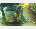 Bild: jml
Kopfüber in der Kaffeetasse, mit dem Schwanz wird der Balanceakt austariert. Freche, kleine Nager finden immer einen Weg in Wohnungen und Häuser.