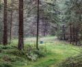 Bild: Susanne Forster
Unter der blauen Verkleidung verbirgt sich eines von insgesamt drei Versuchsbohrlöchern im Naaber Wald. Die Stadt Bärnau überlegt, ein oder mehrere Bohrlöcher zu Trinkwasserbrunnen auszubauen.