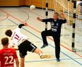 Bild: Martin Deisel
Die Sulzbacher Handballer überzeugten in Roding mit gekonnten Torabschlüssen.