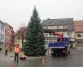 Archivbild: frd
Der Weg des Christbaums auf den Marktplatz Oberviechtach ist kurz. Meistens stammt die Tanne aus einem Privatgarten.
