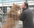 Bild: Gabi Schönberger
Ein Küsschen durch den Käfig: Circus-Krone-Chef Martin Lacey junior wird von einem seiner Löwen begrüßt.