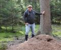 Bild: Markus Raum
Ameisenheger Markus Raum ist im Naturpark Hirschwald unterwegs. Sein Spezialgebiet sind die Waldameisennester.
