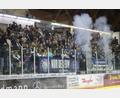Bild: Tobias Neubert
Rund 1800 Zuschauer waren am Familientag beim Heimspiel der Blue Devils gegen Passau.