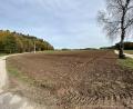 Bild: Andreas Royer
Auf diesem bisher intensiv landwirtschaftlich genutzten 3,3 Hektar großen Acker zwischen Stifterslohe und Prohof soll künftig Sonnenstrom erzeugt werden. Der Sulzbach-Rosenberger Stadtrat machte den Weg frei dafür.