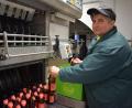 Archivbild: szl
Braumeisterin Angela Riedl will aus der Brauerei in Plößberg eine Genossenschaft machen. Bei ein Infoabend stellte sie weitere Pläne und Details dazu vor.