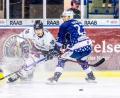 Bild: Tobias Neubert
Am vergangenen Sonntag besiegten die Blue Devils (rechts Daniel Bruch im Zweikampf mit Maximilian Otte) die Passau Black Hawks mit 6:4. An diesem Wochenende bekommen es die Weidener mit Füssen und Memmingen zu tun.