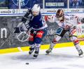 Archivbild: Tobias Neubert
Die Blue Devils gewannen am Sonntag in Memmingen mit 4:2. Das Bild zeigt eine Szene aus dem Hinspiel (8:3) mit Devils-Kapitän Dennis Thielsch (links) und Maximilian Menner.