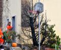 Bild: Petra Hartl
In diesem Vorgarten an der Peter-Henlein-Straße in Amberg stand am Montag, 6. November, ein Baum in Flammen. Ein Fünfjähriger hatte zuvor mit einem Feuerzeug gespielt.