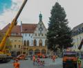 Bild: Wolfgang Steinbacher
Der Weihnachtsbaum für den Marktplatz wird angeliefert. Diese 18 Meter große Tanne steht seit Montag, 6. November, im Herzen der Altstadt.