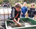 Bild: ubb
Beim Abfischen der Schulweiher sind viele Schüler in ihrem Element. Hier zappelt ein Hecht im Netz.