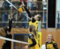 Archivbild: Hubert Ziegler
Auf die Blockarbeit von Emma Peter konnten sich die Volleyballerinnen des SV Hahnbach auch in Hammelburg verlassen.