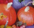 Bild: Delikatessen Manufaktur Bergler-Fischer
Das Rosenaroma ist das Besondere an der Kürbissuppe von Petra Bergler-Fischer.