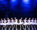 Bild: agenda production/exb
Das "Royal Classical Ballet" bringt "Schwanensee" auf die Bühne des ACC.