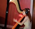 Bild: do
Die international anerkannte Künstlerin Martina Stock begeistert sich für eine Verschmelzung der klassischen Konzertharfe mit elektronischer Musik. In Speinshart fasziniert die Solistin mit einer Mischung aus berührenden Klängen, Farben und Licht