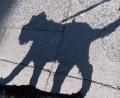 Symbolbild: dpa
In Weiden ist ein Spaziergänger von einem Hund angegriffen und leicht verletzt worden. Die Polizei sucht Zeugen.