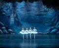 Bild: agenda production/exb
Das Royal Classical Ballet bringt "Schwanensee" auf die Bühne des Amberger Kongresszentrums.