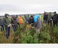 Bild: fvo
Anhand einer Spatenprobe zeigt Wasserberater Michael Lukas am Demofeld des Landwirt Georg Bocka die gute Bodenstruktur und das gute Bodenleben.