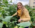 Bild: Gabi Schönberger
Gerade werden die Physalis erntereif. Lehrerin Lisa Lang muss nur ein wenig zwischen den Blättern suchen, um die zu finden, die schon orange und essbar sind.