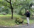 Bild: kmo
Genau an diesem Ort auf dem Waldfriedhof sieht CSU-Stadtrat Hans-Jürgen Gmeiner seine Vision verwirklicht: das Eichengrabfeld.