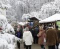 Bild: Petra Hartl
Der Forstliche Weihnachtsmarkt auf dem Mariahilfberg in Amberg ist ein Geheimtipp für alle, die besinnlich in die Weihnachtszeit starten wollen.