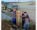 Bild: dob
Entlang des bestehenden Obstlehrpfads zwischen Kößing und Böhmischbruck pflanzten Mitglieder des OGV Böhmischbruck neue Obstbäume.
