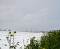 Bild: lum
Auf der landwirtschaftlichen Fläche im Vordergrund soll der Solarpark bei Frodersreuth entstehen; im Hintergrund sind die Windkraftanlagen bei Wildenreuth/Neuenreuth zu sehen.