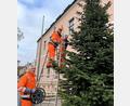 Bild: Christine Hollederer/exb
Mitarbeiter des Bauhofs stellen den sechs Meter hohen Baum auf dem Balkon des Landratsamtes auf und behängen ihn mit einer Lichterkette. V.li.: Markus Schwab, Thomas Scharl und Andreas Hirsch
