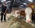 Bild: pmua
Landwirt Julian Krauß plant den Hof seiner Eltern in den nächsten Jahren zu übernehmen.