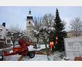 Bild: jr
Am Mittwochvormittag wurde ein Christbaum am Therese-Neumann-Platz aufgestellt.