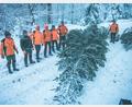 Bild: exb/Martin Hertel
Fichtelgebirgstanne für die Tschechische Botschaft in Berlin. Nach getaner Arbeit: Mitarbeiter der Bayerischen Staatsforsten haben den Christbaum für die Tschechische Botschaft in Berlin durch den Winterwald bis zur Straße geschleppt.