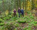 Bild: bsc
Bei einem umfangreichen Arbeitseinsatz haben Dr. Siegfried Steinkohl, Erwin Nonas und Robert Mertl (von links) vom Verein Kulturlandschaft südlicher Steinwald die einstige Hofstelle Glosenhof im Steinwald von Gestrüpp befreit und das Gelände weitläufig freigestellt.