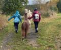 Bild: Sandra Hering/exb
Schüler und Tiere fanden rasch zueinander beim Ausflug der gebundenen Ganztagsklasse der Kemnather Realschule nach Waldsassen.