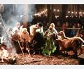 Bild: Ertl, Willi
Die lebendige Krippe am wärmenden Lagerfeuer der Sorghofer Waldweihnacht. Die 34. Auflage der Traditionsveranstaltung findet am Samstag, 16. Dezember, statt.