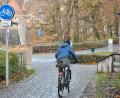 Bild: Petra Hartl
Dieser Radfahrer macht es richtig. Vor dem Zebrastreifen am Nabburger Tor steigt er ab und schiebt.