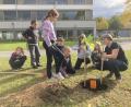 Bild: Marion Weigl/exb
Im Pausenhof der Albert-Schweitzer-Schule pflanzten die Kinder Kiribäume, die bis zu zehn Meter hoch werden.