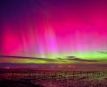 Bild: Markus Hibbeler/dpa
Polarlichter sind am Himmel über Schillig (Kreis Friesland) zu sehen. (Archivbild)