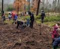 Bild: Fichtelgebirgsverein Waldershof/exb
Die "Youngsters" des FGV pflanzten wieder Bäume im Steinwald.