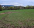 Bild: bnr
Die Ableitung von Niederschlagswasser in Baugebieten, wie hier "Am Köblitzbach", muss wasserrechtlich genehmigt werden.