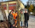 Bild: ak
Am kommunalen Bauhof in Speichersdorf konnten Bürger die bestellten Hochstämme zum Pflanzen in Empfang nehmen.
