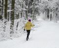 Symbolbild: Daniel Vogl/dpa
Eine Skilangläuferin ist im winterlich verschneiten Wald unterwegs. Der Heimatverein Mähring teilt mit, dass die drei Loipen rund um die Marktgemeinde gespurt und bereit für Wintersportler sind.