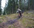 Archivbild: kaz
Die fünf Mountainbike-Trails in Waldsassen sind bereits eröffnet. Die Mountainbike-Region Naturparkland Oberpfälzer Wald befindet sich noch in der schwierigen Planungsphase.