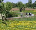 Archivbild: Ingrid Popp
Der Bocklradweg, hier bei Albersrieth, ist ein Paradebeispiel. Doch der Landkreis Neustadt/WN will in dieser Hinsicht keinen Stillstand, sondern möchte mehr für die Radfahrer tun – sowohl für Urlauber als auch Einheimische.
