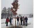 Bild: Landratsamt Wunsiedel/exb
Bei „schönstem“ Wetter wurde ein Klimabaum, eine Zerreiche, in Nagel gepflanzt. Sie ist ein Willkommensgeschenk der Gartenbauvereinsfamilie an den Natur- und Kräuterdorfverein Nagel. Auf dem Bild (von links) Kreisfachberaterin Dr. Kristina Schröter, Gemeindegärtnerin Melanie Kellner, Kassier des Kräuterdorfvereins Ludwig Pöhlmann, Bürgermeister Helmut Voit, Vorsitzender des Kräuterdorfvereins Theo Bauer und Zweiter Vorsitzender des Kreisverbands für Gartenkultur und Landespflege Peter Plaß.